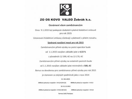 Valeo večírku 9.1.2015