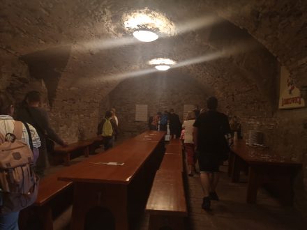 V původních středověkých sklepích roudnického zámku skvělá a mnohokrát oceněná vína již od roku 1603.